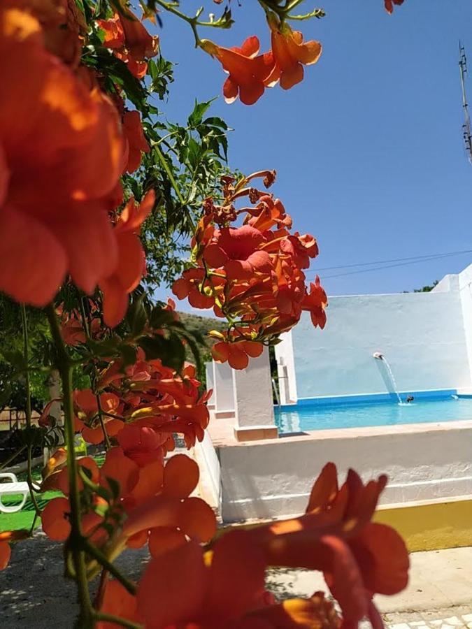 Quinta Da Ponte Das Hortas 3 الفاس المظهر الخارجي الصورة